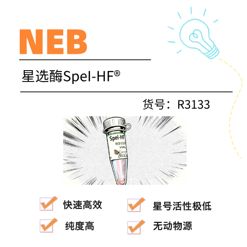  NEB星选酶SpeI-HF®