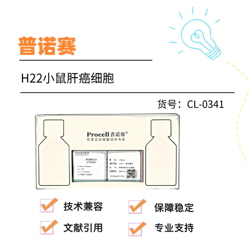  普诺赛H22小鼠肝癌细胞