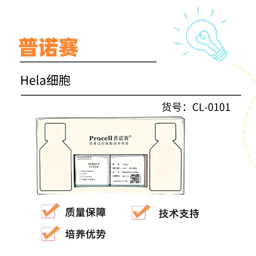  普诺赛Hela细胞