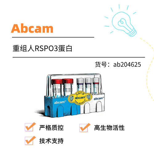  Abcam重组人RSPO3蛋白