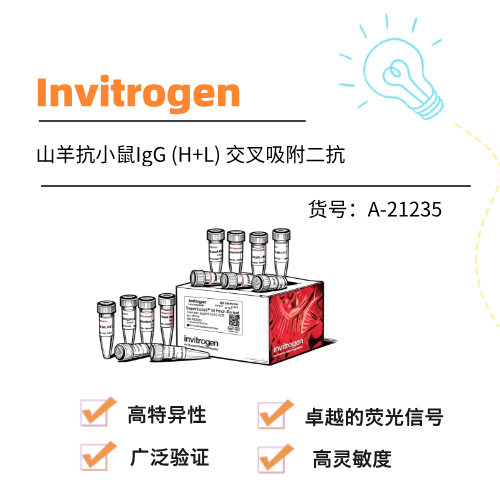  Invitrogen山羊抗小鼠IgG (H+L) 交叉吸附二抗，Alexa Fluor™ 647