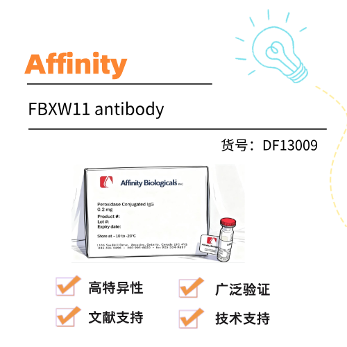  Affinity抗体FBXW11 antibody