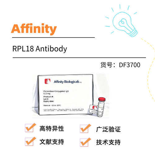  Affinity抗体RPL18 Antibody