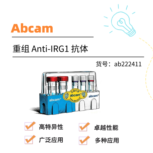 Abcam 重组 Anti-IRG1 抗体 [EPR22066]