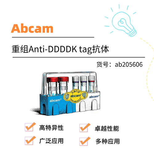  Abcam重组Anti-DDDDK tag抗体 [EPR20018-251]