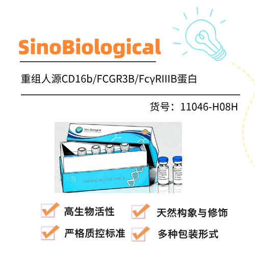  SinoBiological重组人源CD16b/FCGR3B/FcγRIIIB蛋白(NA2型，His标签)