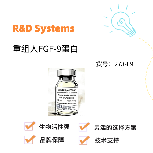  R&D Systems重组人FGF-9蛋白