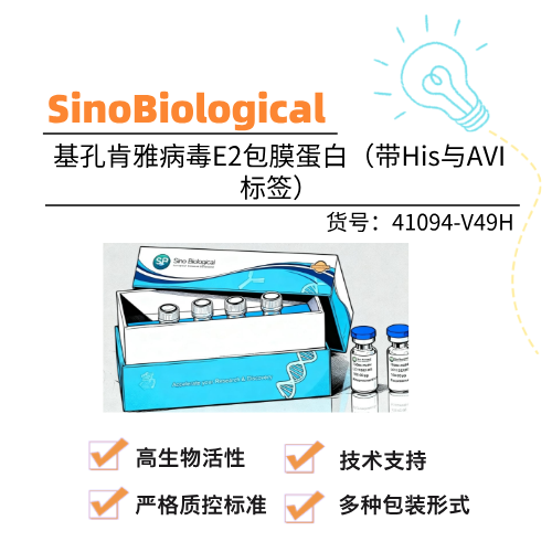  SinoBiological义翘神州 基孔肯雅病毒E2包膜蛋白（带His与AVI标签）