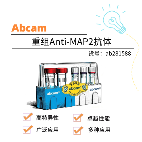 Abcam艾博抗 重组Anti-MAP2抗体[RM1010] - Neuronal Marker