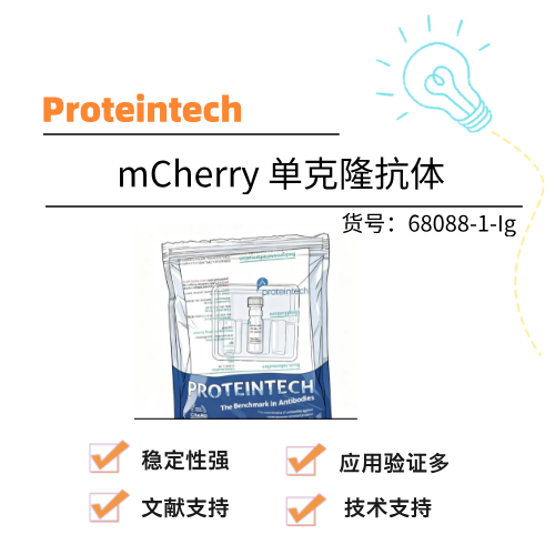  Proteintech武汉三鹰 mCherry 单克隆抗体