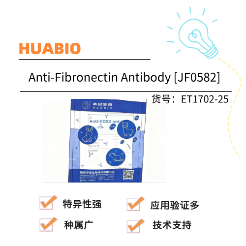  HUABIO华安生物 Anti-Fibronectin Antibody [JF0582]