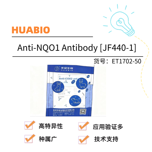  HUABIO华安生物 Anti-NQO1 Antibody [JF440-1]