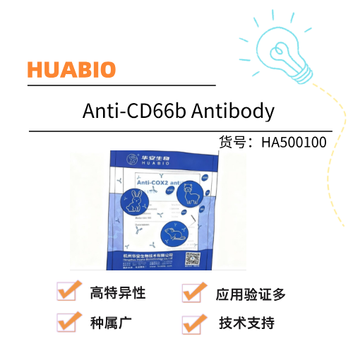  HUABIO华安生物 Anti-CD66b Antibody