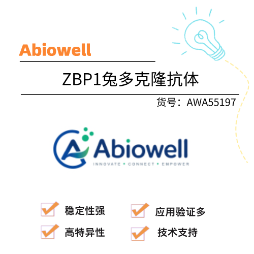  Abiowell艾碧维 ZBP1兔多克隆抗体