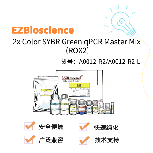  EZBioscience 2x Color SYBR Green qPCR Master Mix (ROX2)