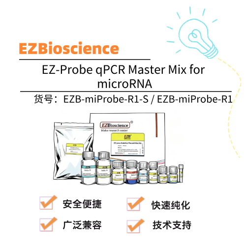  EZBioscience EZ-Probe qPCR Master Mix for microRNA