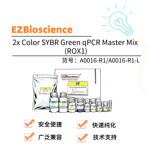  EZBioscience 2x Color SYBR Green qPCR Master Mix (ROX1)