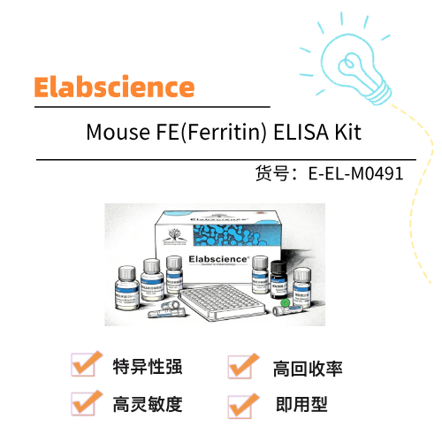  Elabscience伊莱瑞特 Mouse FE(Ferritin) ELISA Kit