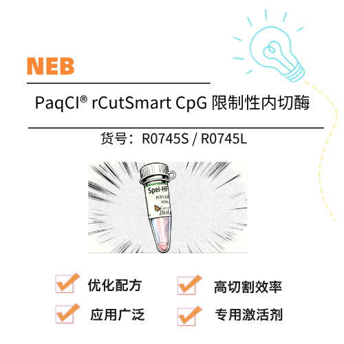  NEB PaqCI® rCutSmart CpG 限制性内切酶