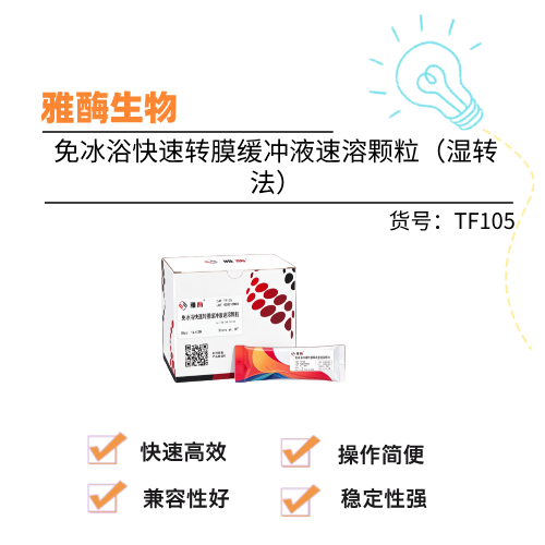  雅酶 免冰浴快速转膜缓冲液速溶颗粒（湿转法）